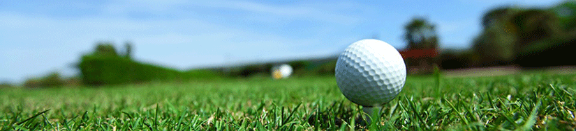 Golf Ball and Grass